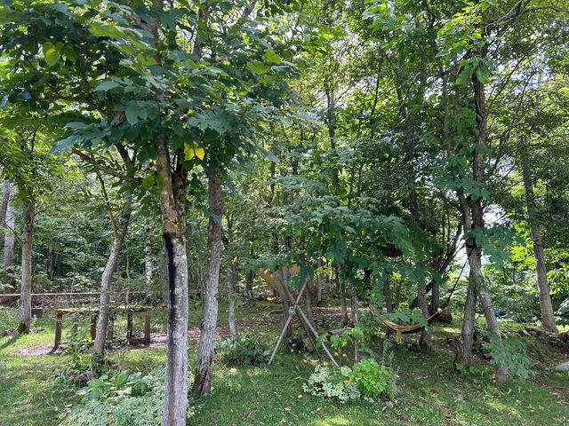 裏庭の森です_NISEKO KAMA_HALE VILLAGE