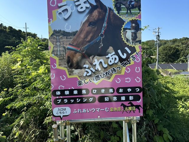 この看板が入口の目印です。_ふれあいウマーむTOKONAME