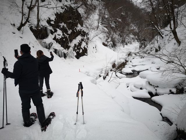 白神山地・冬_白神山地ガイドGURI