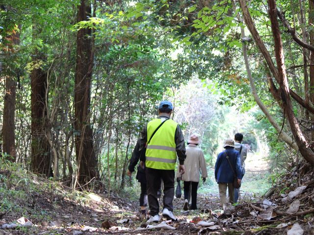 丸柱音羽地域の里山を散策_丸柱地域まちづくり協議会
