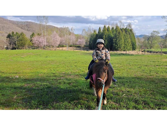 春は桜を眺めながらトレイルライディング!
小さなお子様も体験できます。_HORSE&BUDDY LIBERATION FARMS