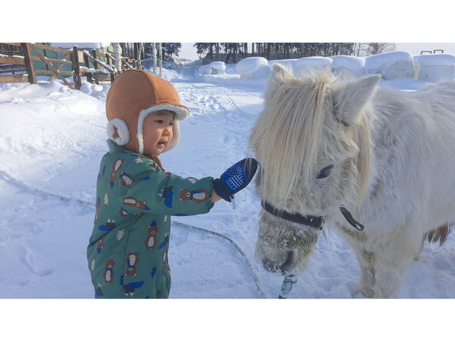 冬も営業しています♪_HORSE&BUDDY LIBERATION FARMS