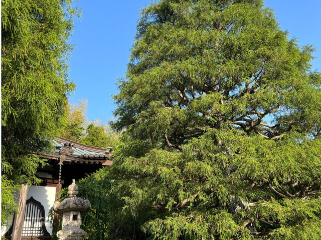 お教室は、「受法寺」2件隣の一軒家で開催しています。_Namu koso