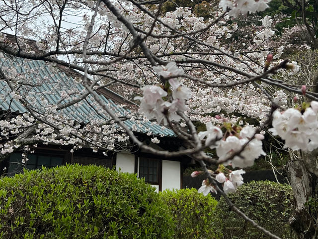 「受法寺」2件隣の一軒家で開催しています。_Namu koso