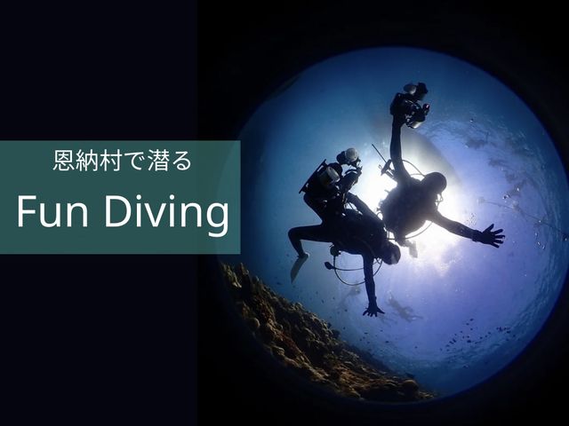 Dive station BLUEMAN