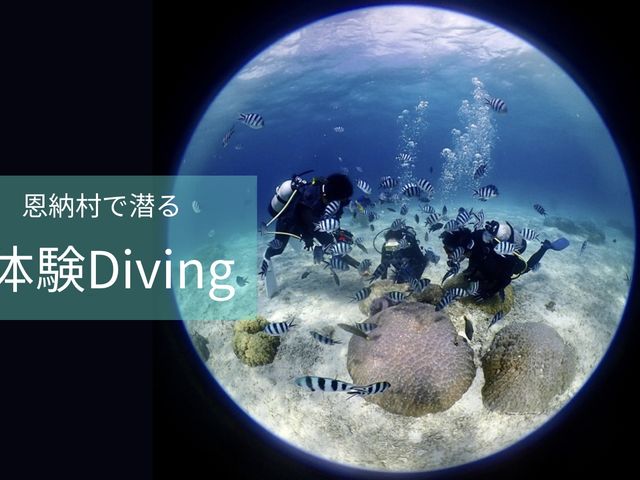 Dive station BLUEMAN