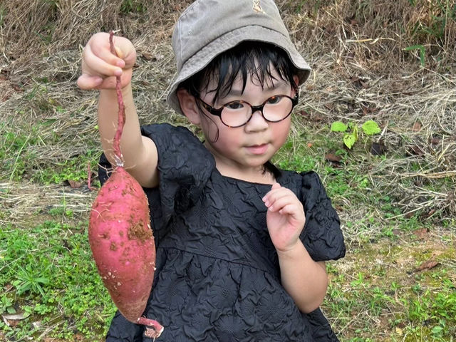 太陽ハーモニーファーム