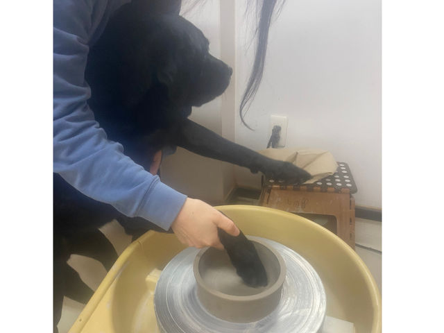 陶芸教室 まるゆ工房
