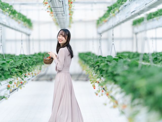 体験している様子です!_Sky Flora Farm