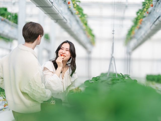 美味しいあまおうが沢山あります!_Sky Flora Farm