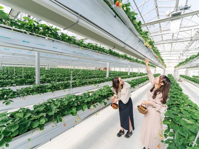 映える写真をたくさん撮ってくださいね♪_Sky Flora Farm