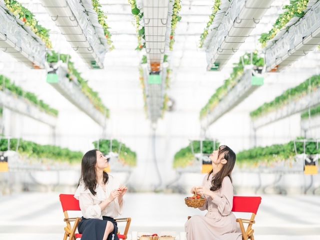 広い空間でいちご狩りピクニックをお楽しみください♪_Sky Flora Farm