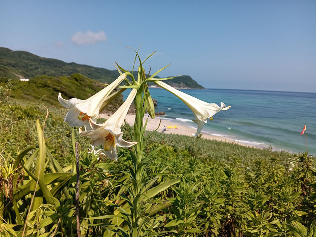 Ocean BASE 川尻
