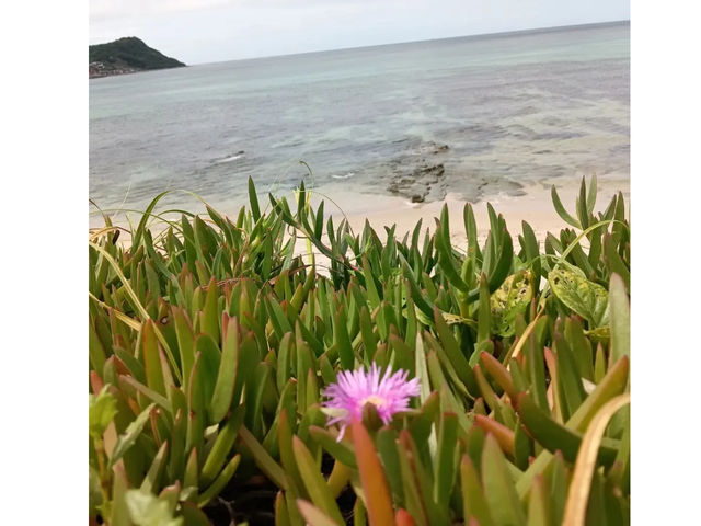 Ocean BASE 川尻
