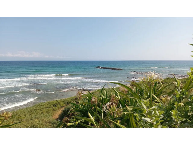 Ocean BASE 川尻