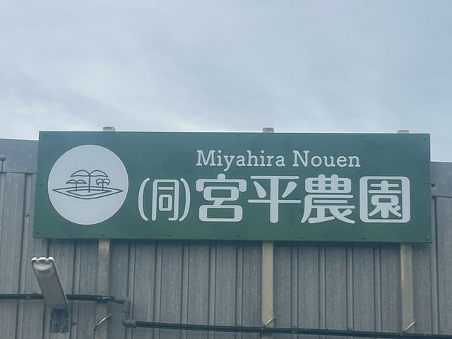 合同会社宮平農園