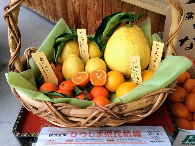 レモン13種類,ライム6種類を植えています。_菅原レモン園&菅原栗園