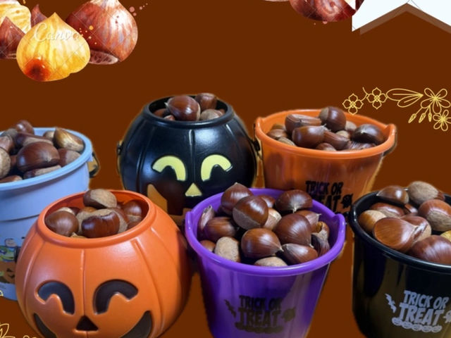 「西村キャンプ場」で夏レモンが紹介されました。_菅原レモン園&菅原栗園