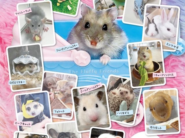 ふわりーず掛川