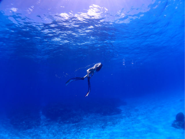 石垣島の綺麗な海を満喫しましょう!_Sea HOPE