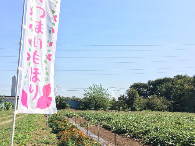 とうみや農園