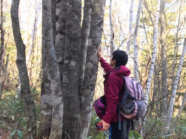 HEALING TIME in forest