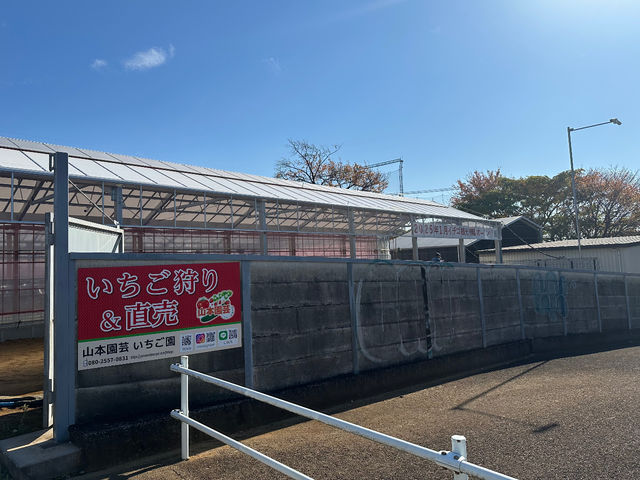 山本園芸いちご園