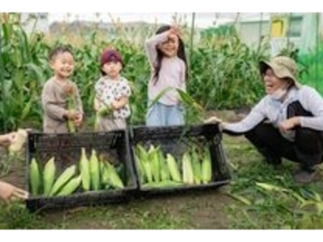 おあしすふぁーむ 幸田