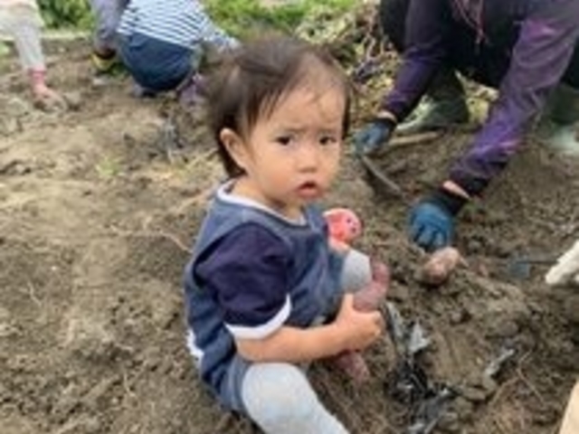 おあしすふぁーむ 幸田