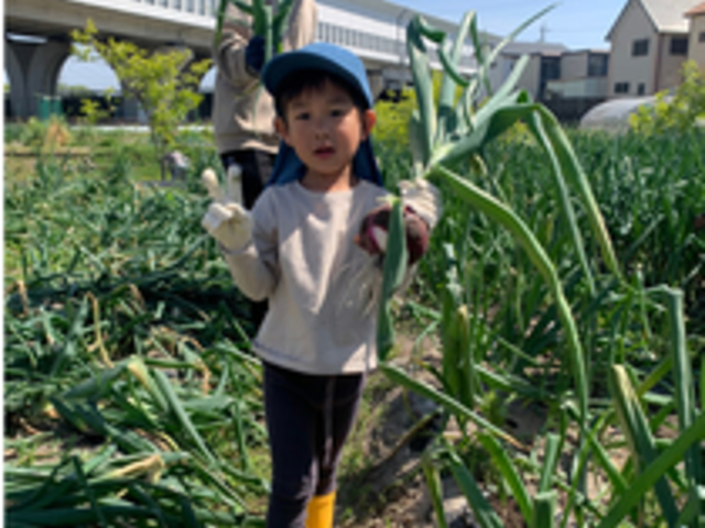 おあしすふぁーむ 幸田