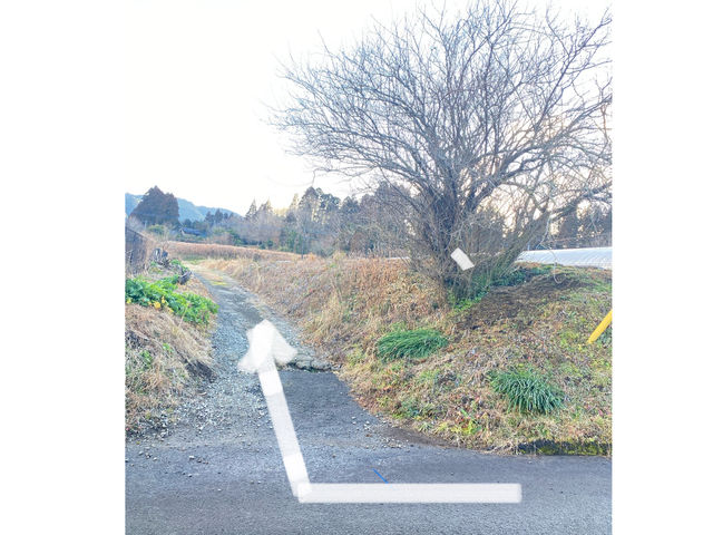 右折して、ハウスを右手に見ながら砂利道を歩いて入り口までお越しください。_しばベリーいちご園