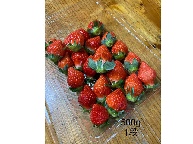 500gは約1段の量です。_しばベリーいちご園