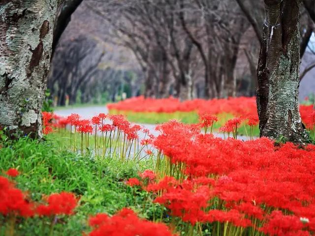 北神山花街道