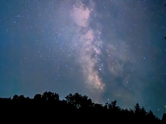 場内から見た星空_遊び小屋コニファー