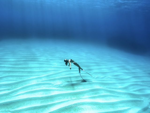 WILDBLUE underwater