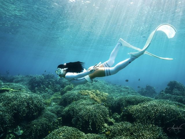 WILDBLUE underwater