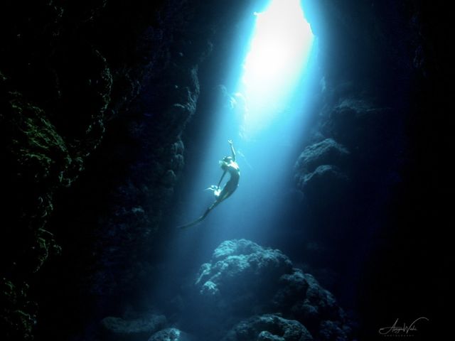 WILDBLUE underwater
