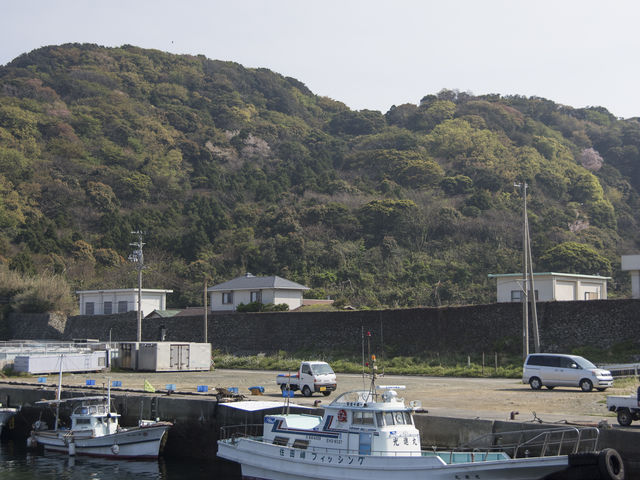この漁船でクルージングしていただきます。_民宿 大岩
