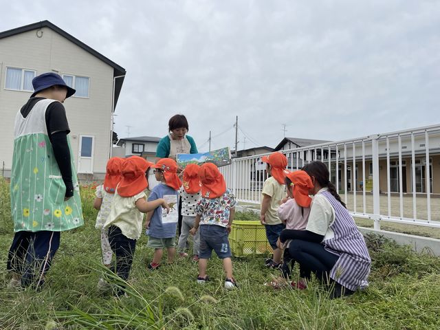 食育絵本の読み聞かせをします_芳賀にこにこ農園