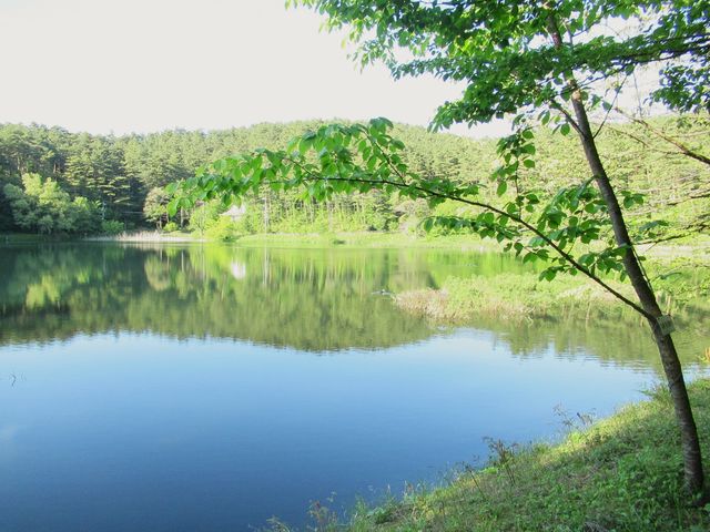 大成池