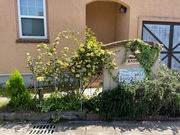 アロマスクール&サロン 香音の写真2