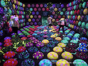 チームラボフォレスト 福岡-SBI証券の写真3