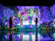 チームラボフォレスト 福岡-SBI証券の写真4