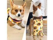atelier buddyの写真4