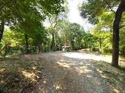 陽楽の森の写真2