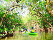 AQUAJungle amamiの写真3