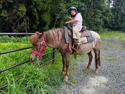 カナディアンキャンプ乗馬クラブ SOOの写真2