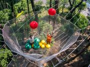龍ケ崎市森林公園「アドベンチャーバレー龍ケ崎」の写真2