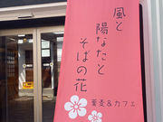 風と陽なたとそばの花の写真1