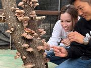 竹原原木椎茸の写真2
